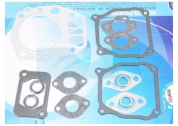 Set de garnituri ROBIN EH12, EH17 252-99001-27